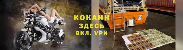 винт Верея