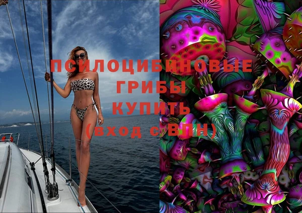 винт Верея